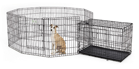 great dane size dog crate